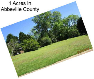 1 Acres in Abbeville County