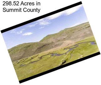 298.52 Acres in Summit County
