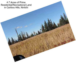4.7 Acres of Prime Residential/Recreational Land in Caribou Hills, Ninilchi