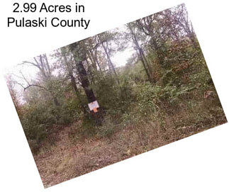 2.99 Acres in Pulaski County