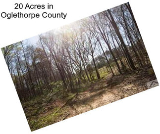 20 Acres in Oglethorpe County