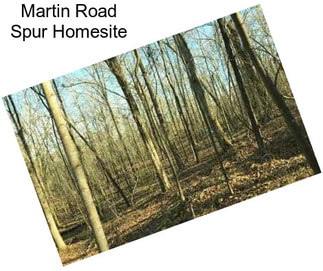 Martin Road Spur Homesite