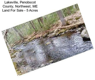 Lakeville, Penobscot County, Northwest, ME Land For Sale - 5 Acres