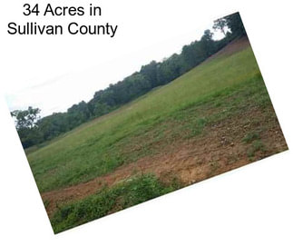 34 Acres in Sullivan County