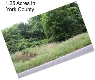 1.25 Acres in York County