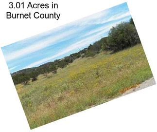 3.01 Acres in Burnet County