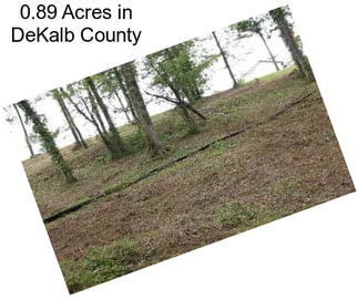 0.89 Acres in DeKalb County