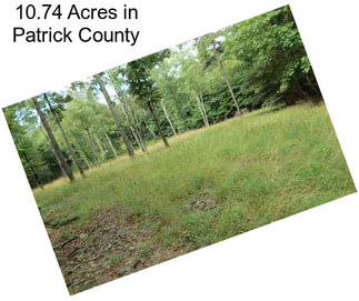 10.74 Acres in Patrick County