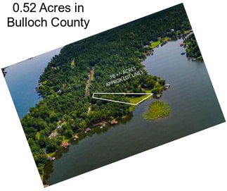 0.52 Acres in Bulloch County