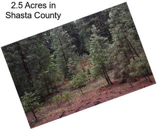 2.5 Acres in Shasta County