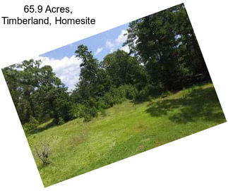 65.9 Acres, Timberland, Homesite