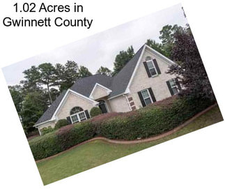 1.02 Acres in Gwinnett County