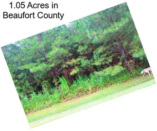 1.05 Acres in Beaufort County