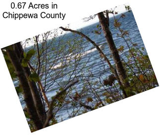 0.67 Acres in Chippewa County