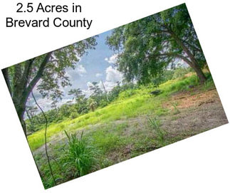 2.5 Acres in Brevard County