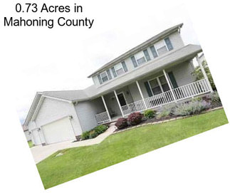 0.73 Acres in Mahoning County