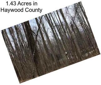 1.43 Acres in Haywood County