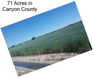 71 Acres in Canyon County