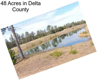48 Acres in Delta County
