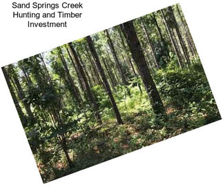 Sand Springs Creek Hunting and Timber Investment