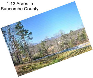 1.13 Acres in Buncombe County