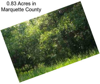 0.83 Acres in Marquette County