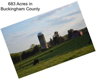 683 Acres in Buckingham County