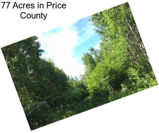 77 Acres in Price County