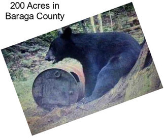 200 Acres in Baraga County