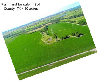 Farm land for sale in Bell County, TX - 80 acres