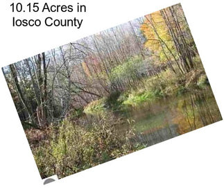 10.15 Acres in Iosco County