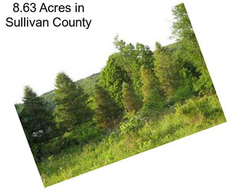 8.63 Acres in Sullivan County