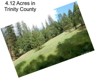 4.12 Acres in Trinity County