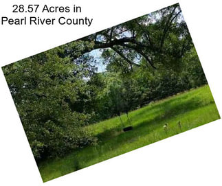 28.57 Acres in Pearl River County