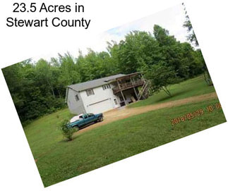 23.5 Acres in Stewart County