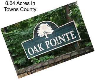 0.64 Acres in Towns County