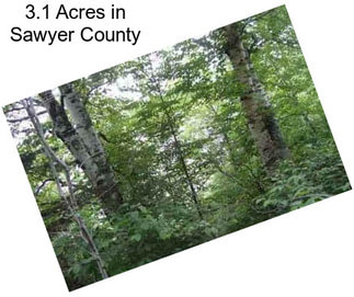 3.1 Acres in Sawyer County