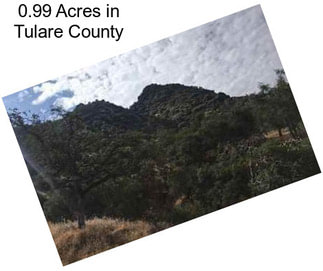 0.99 Acres in Tulare County