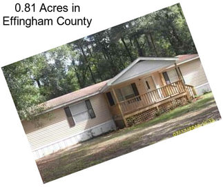 0.81 Acres in Effingham County