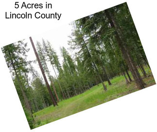 5 Acres in Lincoln County