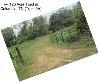 +/- 126 Acre Tract in Columbia, TN (Tract 3A)