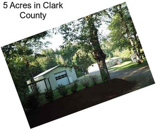 5 Acres in Clark County