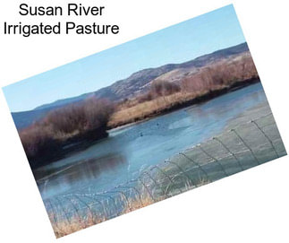 Susan River Irrigated Pasture