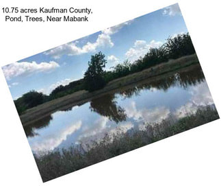 10.75 acres Kaufman County, Pond, Trees, Near Mabank