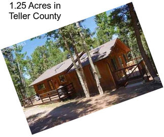 1.25 Acres in Teller County