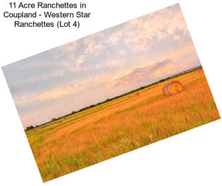 11 Acre Ranchettes in Coupland - Western Star Ranchettes (Lot 4)