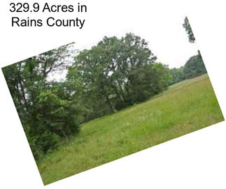 329.9 Acres in Rains County