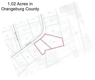 1.02 Acres in Orangeburg County