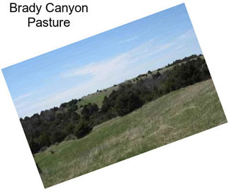 Brady Canyon Pasture