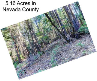 5.16 Acres in Nevada County